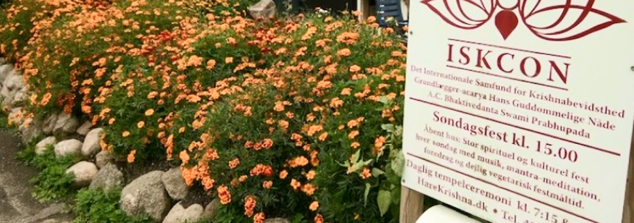 ISKCON Copenhagen City Garden Yields Fresh Produce Year Round