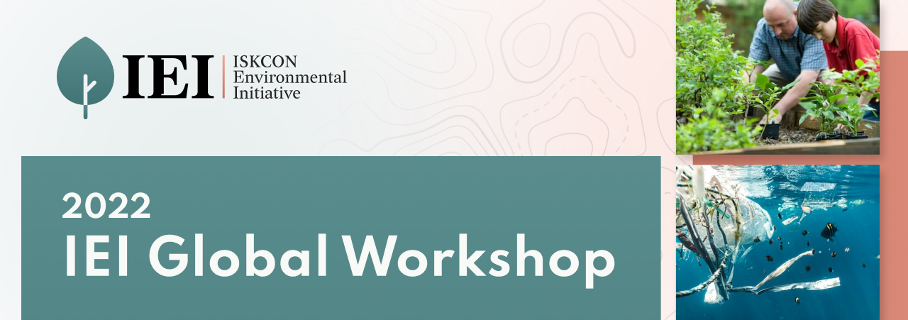2022 IEI Global Workshop