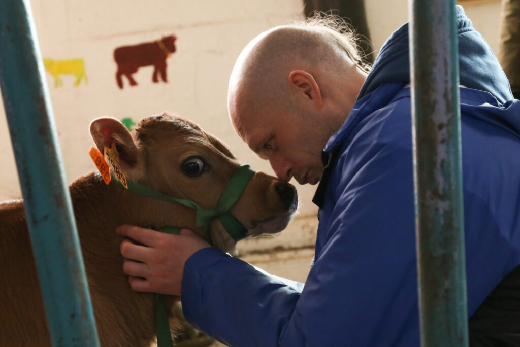 New Bahulavana Goshala: Sustainable dairy farming