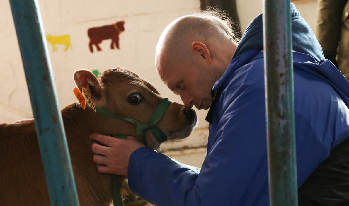 New Bahulavana Goshala: Sustainable dairy farming